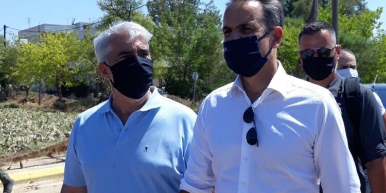 Κεδίκογλου, Μητσοτάκης - Αυτοψία