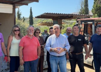 Η πλάκα Καρύστου αποτελεί έναν πολύτιμο αναπτυξιακό πυλώνα για τη Νότια Εύβοια